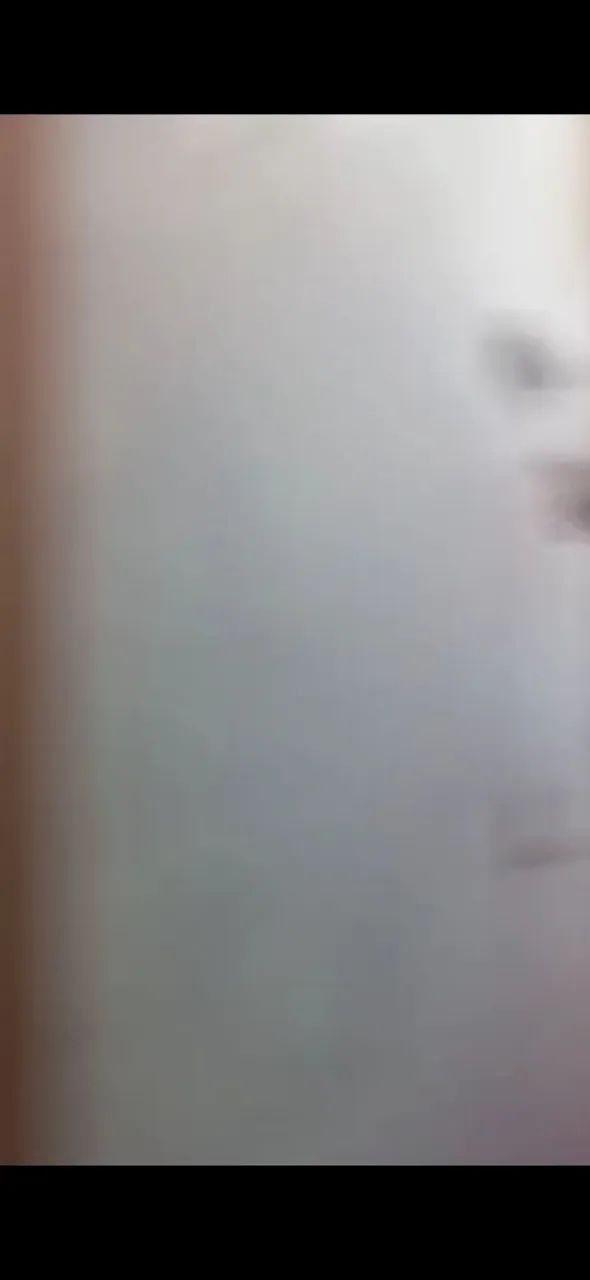 Pinturas em geral  - Foto 3