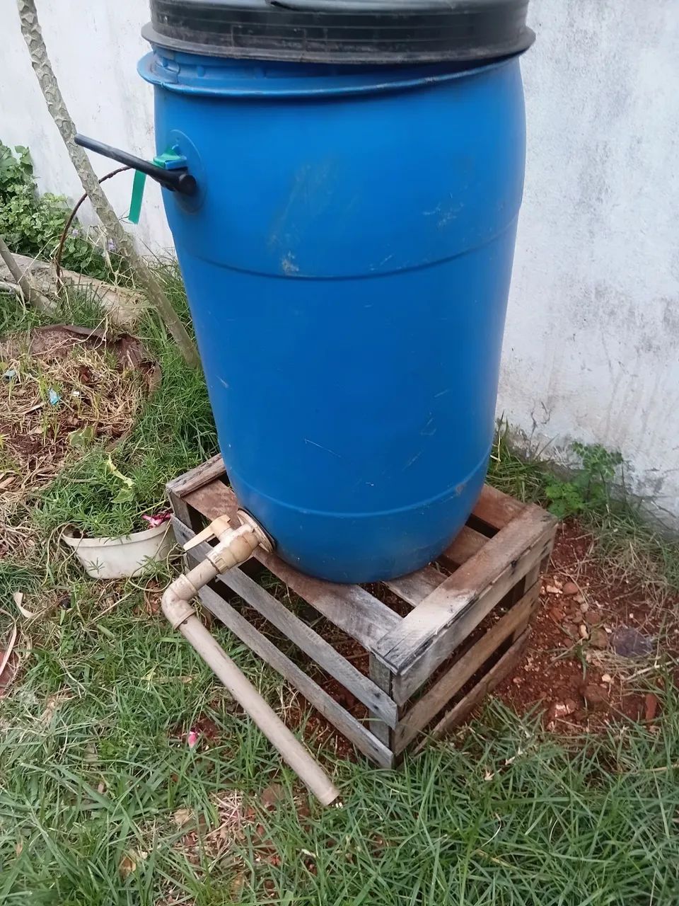 Galão 