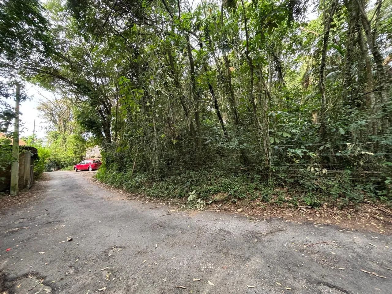 Terreno à venda no Canto da Lagoa - Foto 4