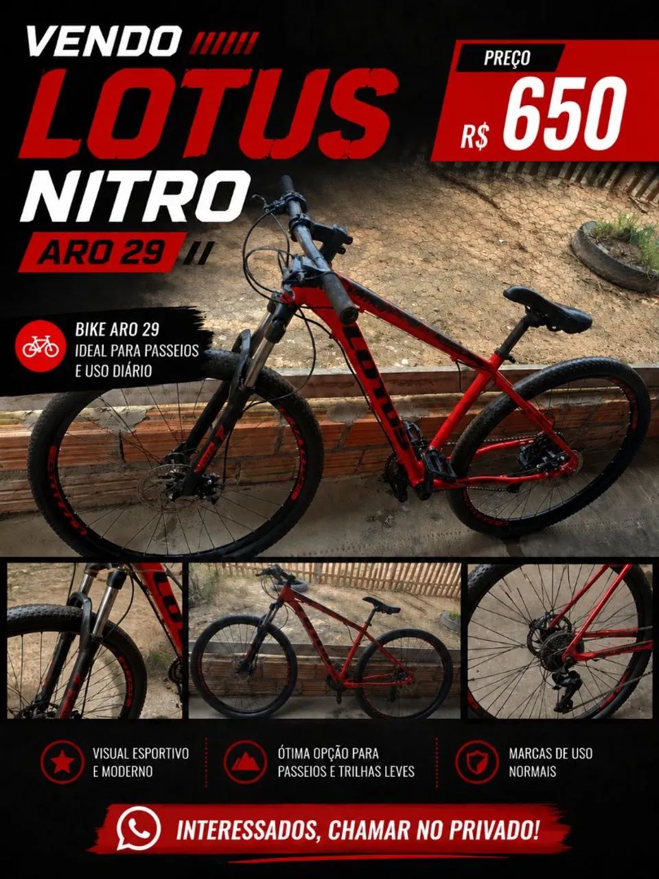 BICICLETA LOTUS NITRO ARO 29