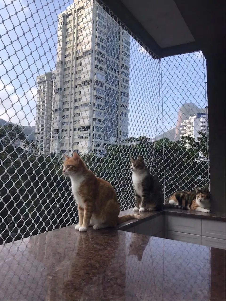 Redes de proteção  - Foto 2