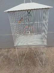 Gaiola para aves 
