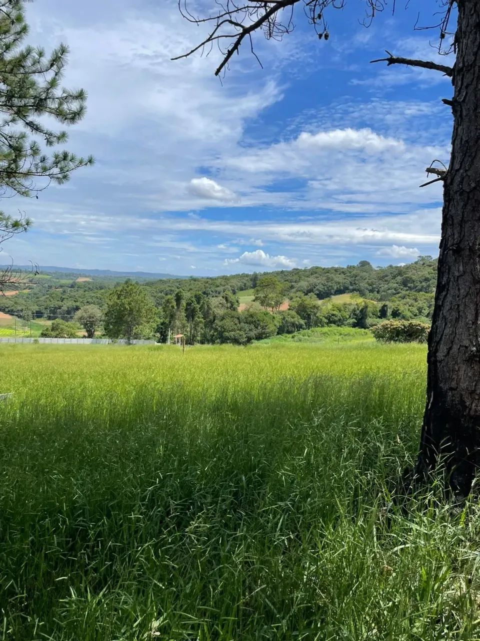 OPORTUNIDADE EM IBIÚNA  LOTES DE 500m² - Foto 4
