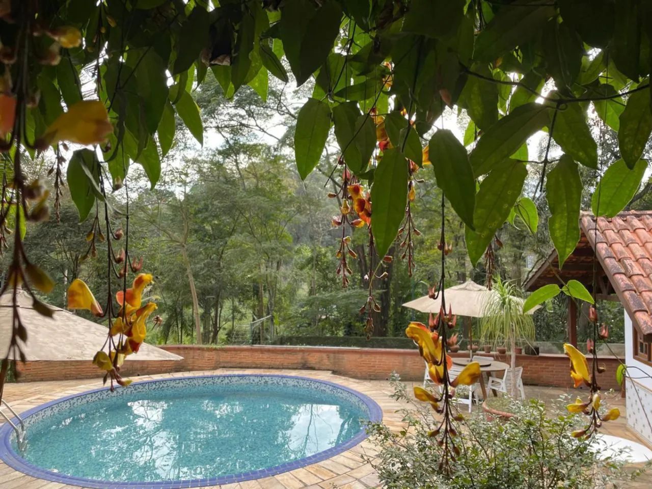 Casa no condomínio Condomínio Granja Velha para locação com 5 quartos, sendo 2 suítes, 369 - Foto 6