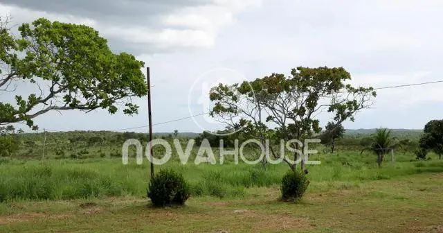 FAZENDA NA COMUNIDADE RIO DOS PEIXES - Foto 2