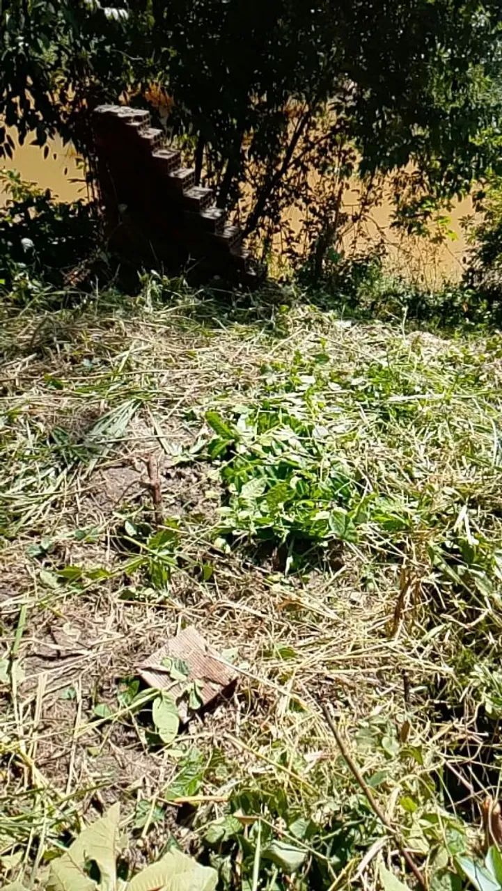 Terreno 