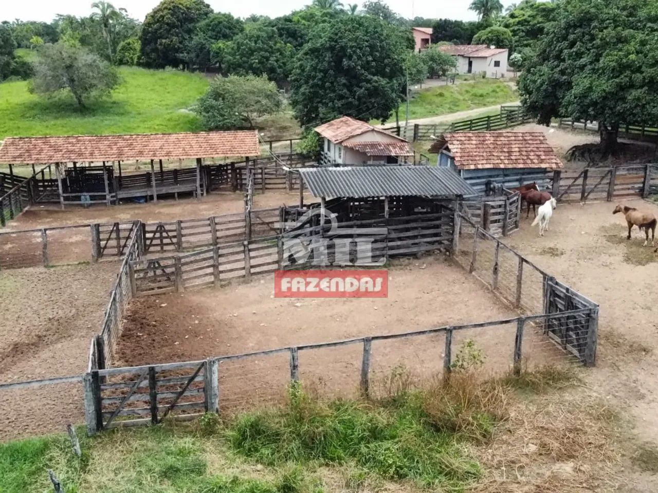 Fazenda 169 Alqueires (817,96 hectares) Ipameri - GO - Foto 3