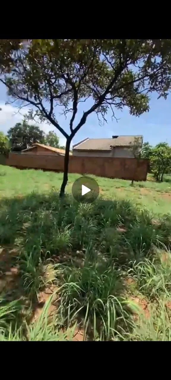 Lote QUITADO próx a TO 080 LAGUNA 1 - Foto 2