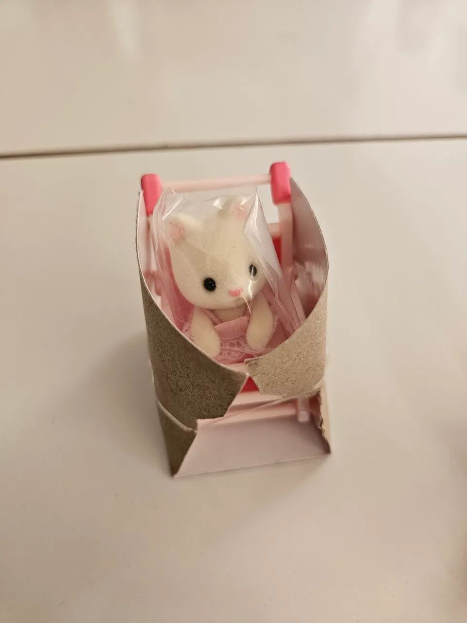 Gata curly ear e gatinha seda - Foto 4