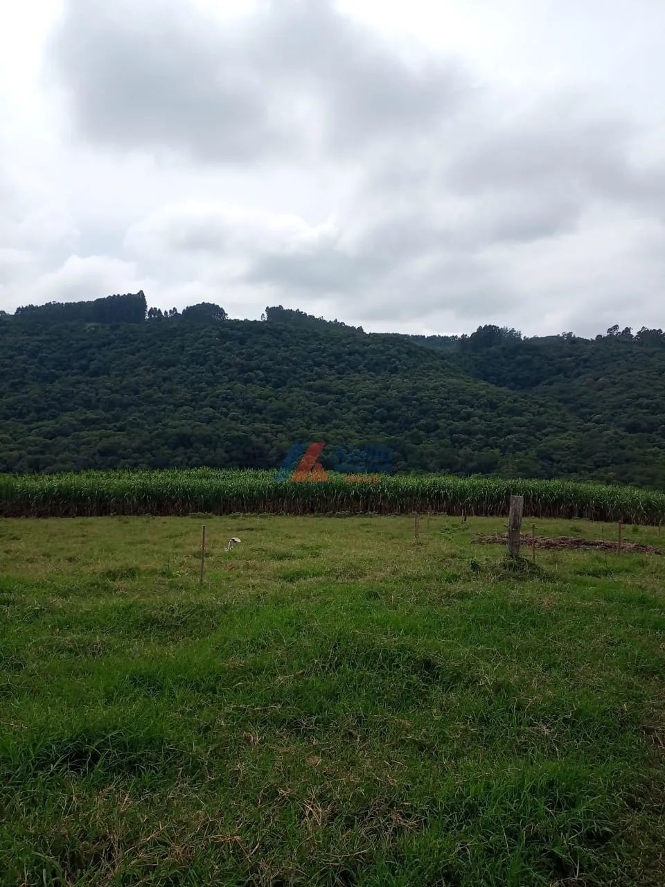 Sitio - Tamarana - Foto 5
