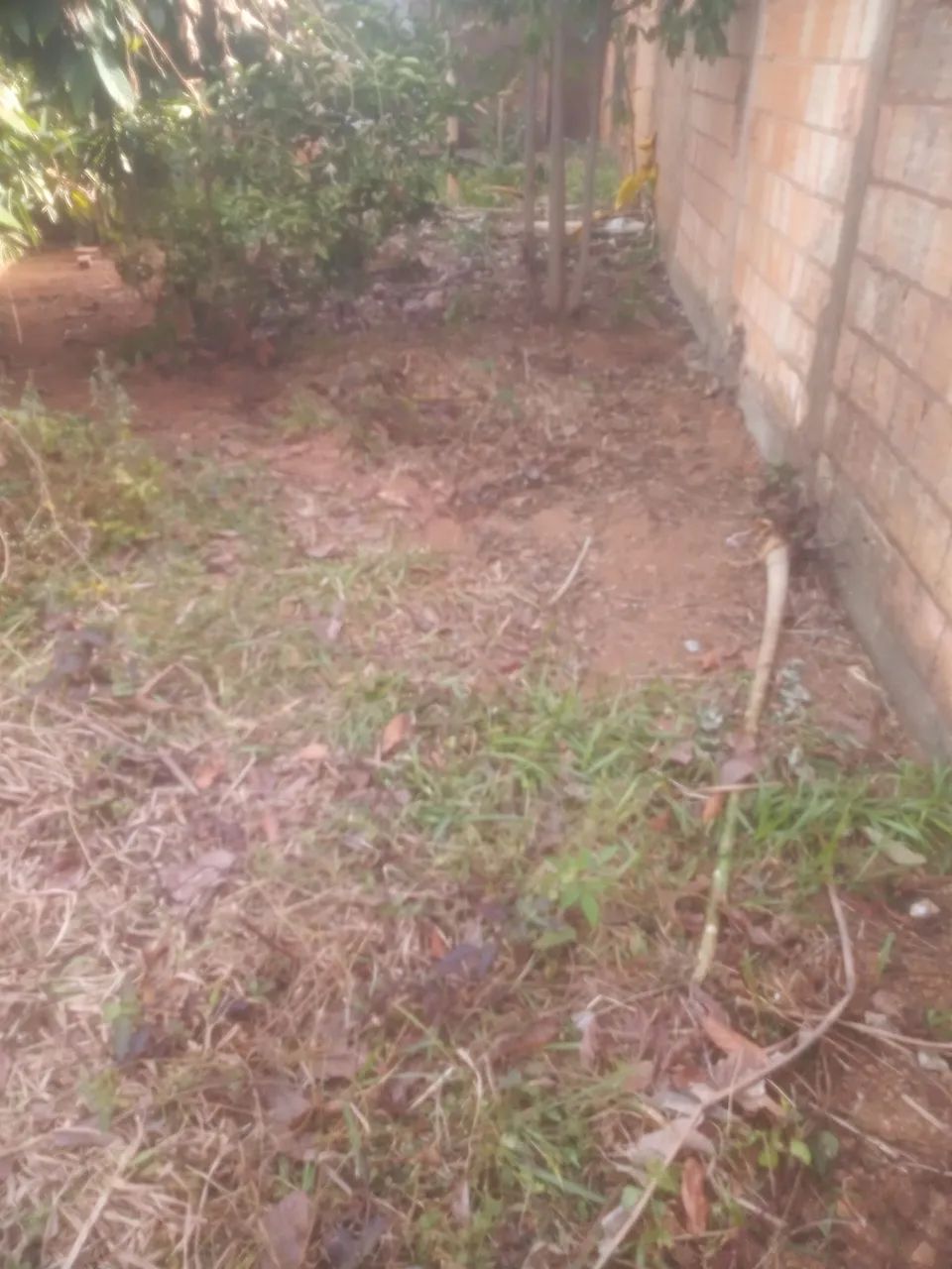 Lote de 6x30 para contruir - Foto 2