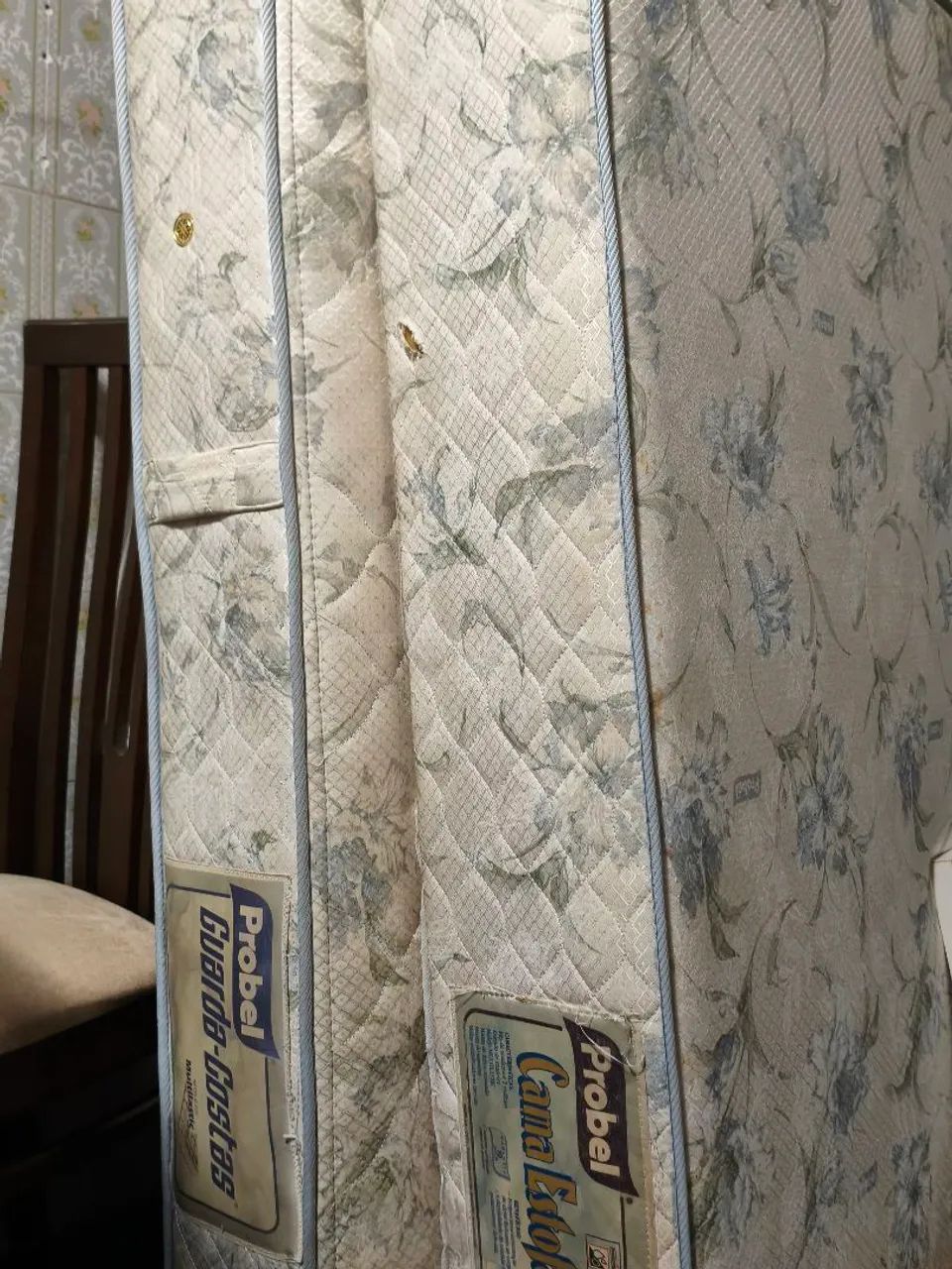 Cama box