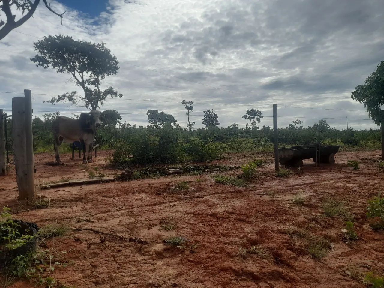 Sitio  - Foto 5
