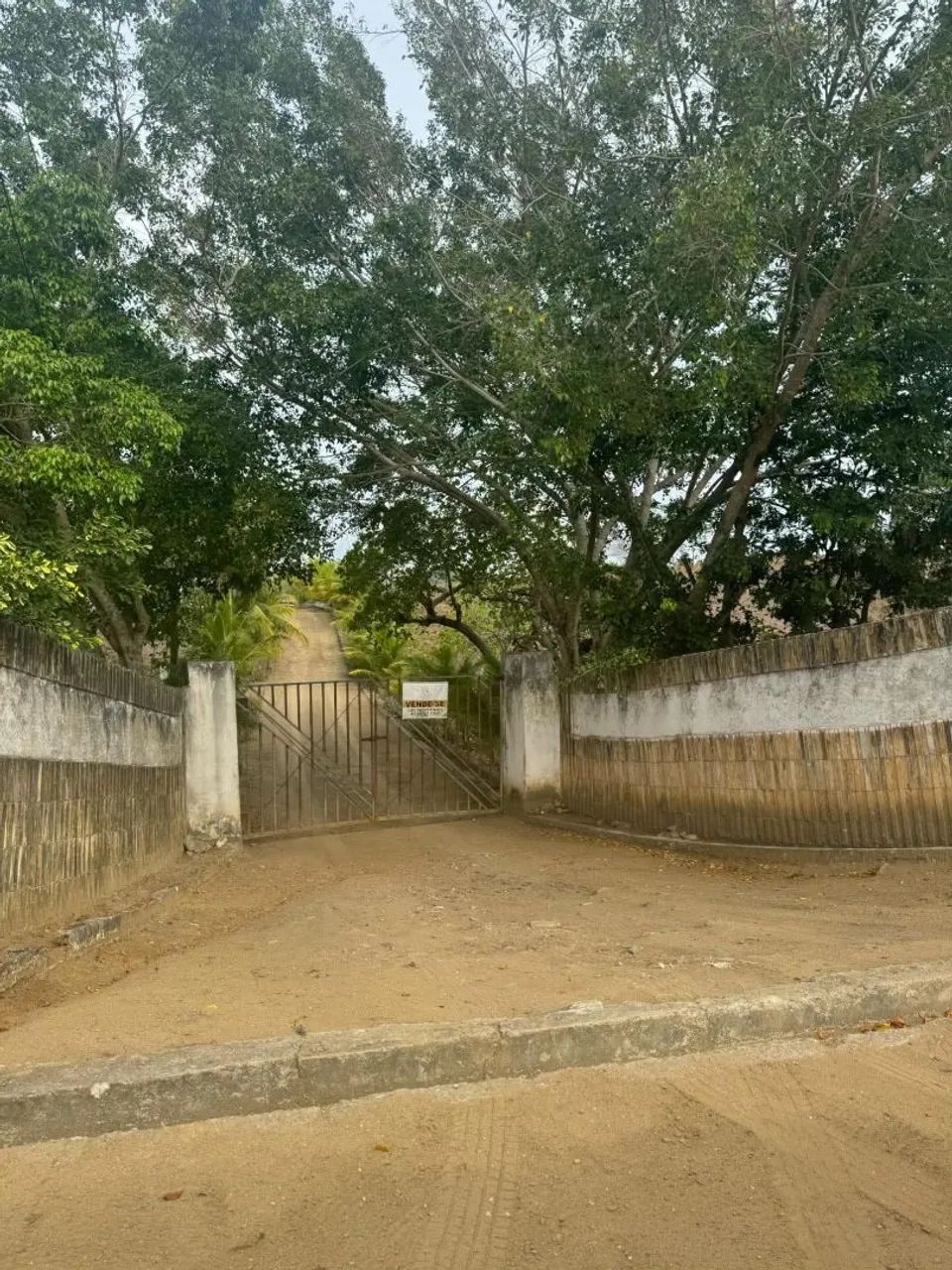 GRANJA A VENDA EM CARPINA  - Foto 2