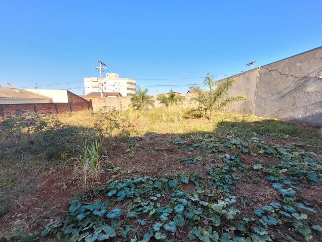Terreno Padrão em Uberlândia - Foto 2