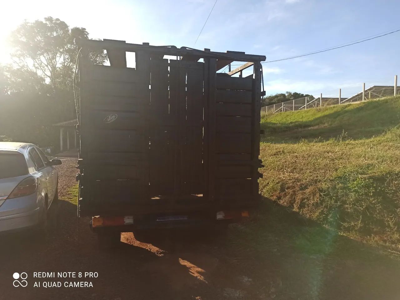 Gaiola boiadeira - Foto 2