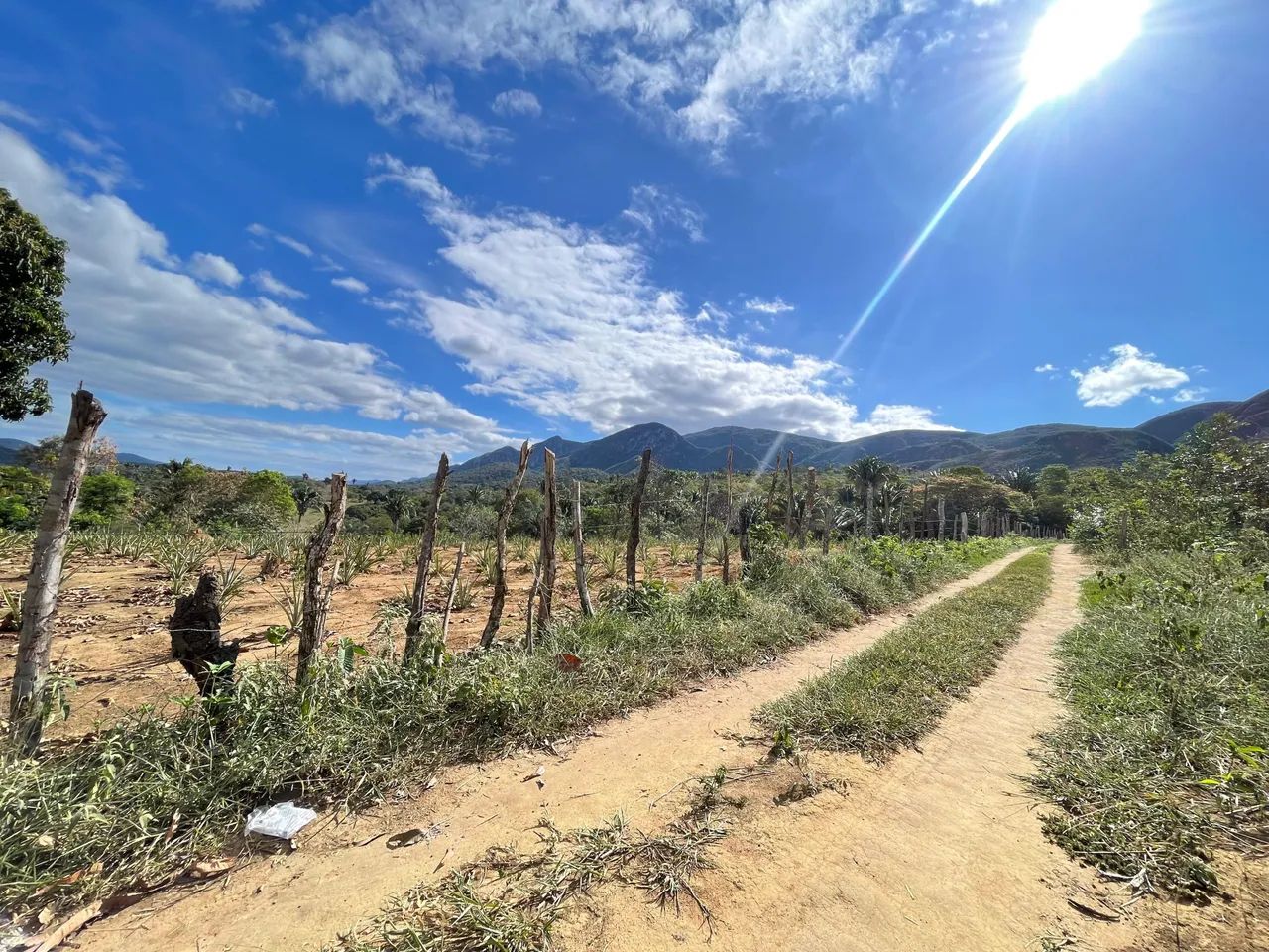 Lote em Itaitu - Piancó - Foto 3