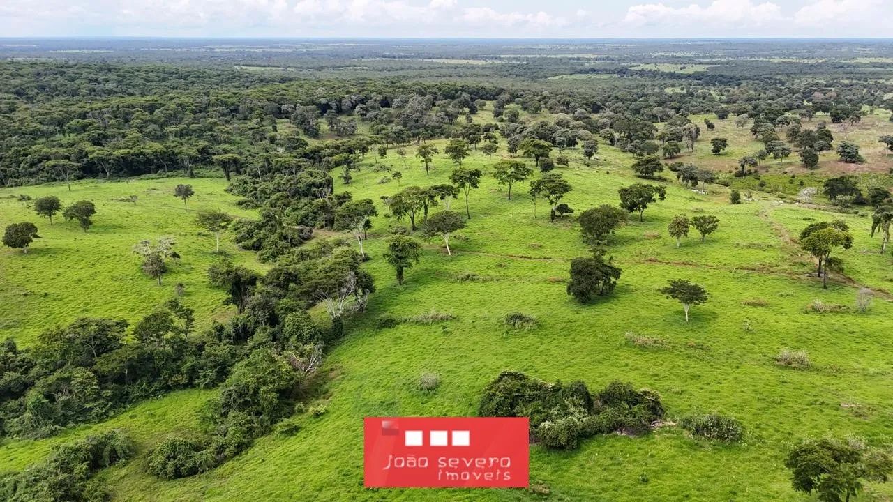 Fazenda para Venda em Sandolândia - Foto 4
