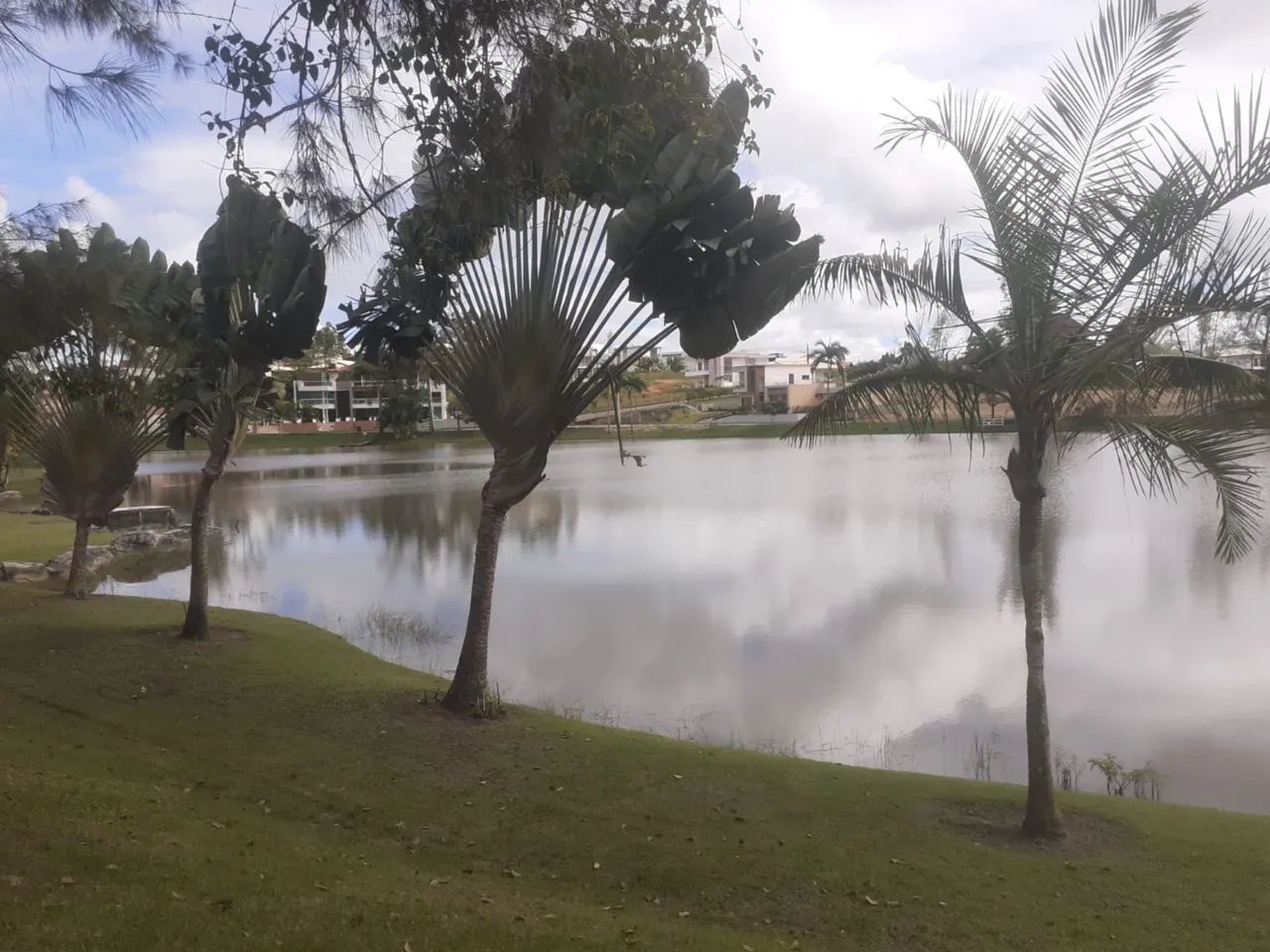 Haras Sergipe  - Foto 7