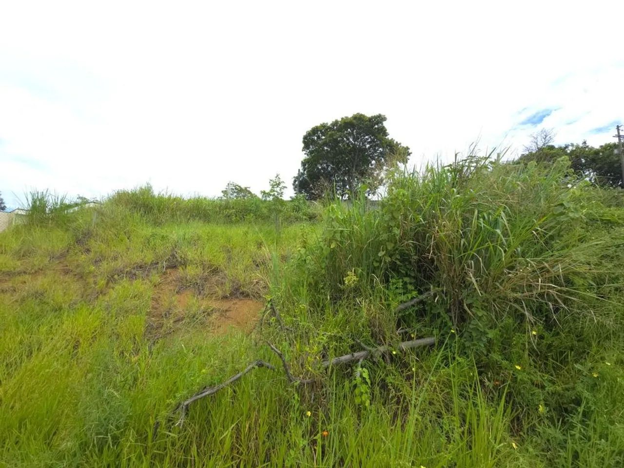 Terreno à venda em Monte Mor, São Sebastião - Foto 4