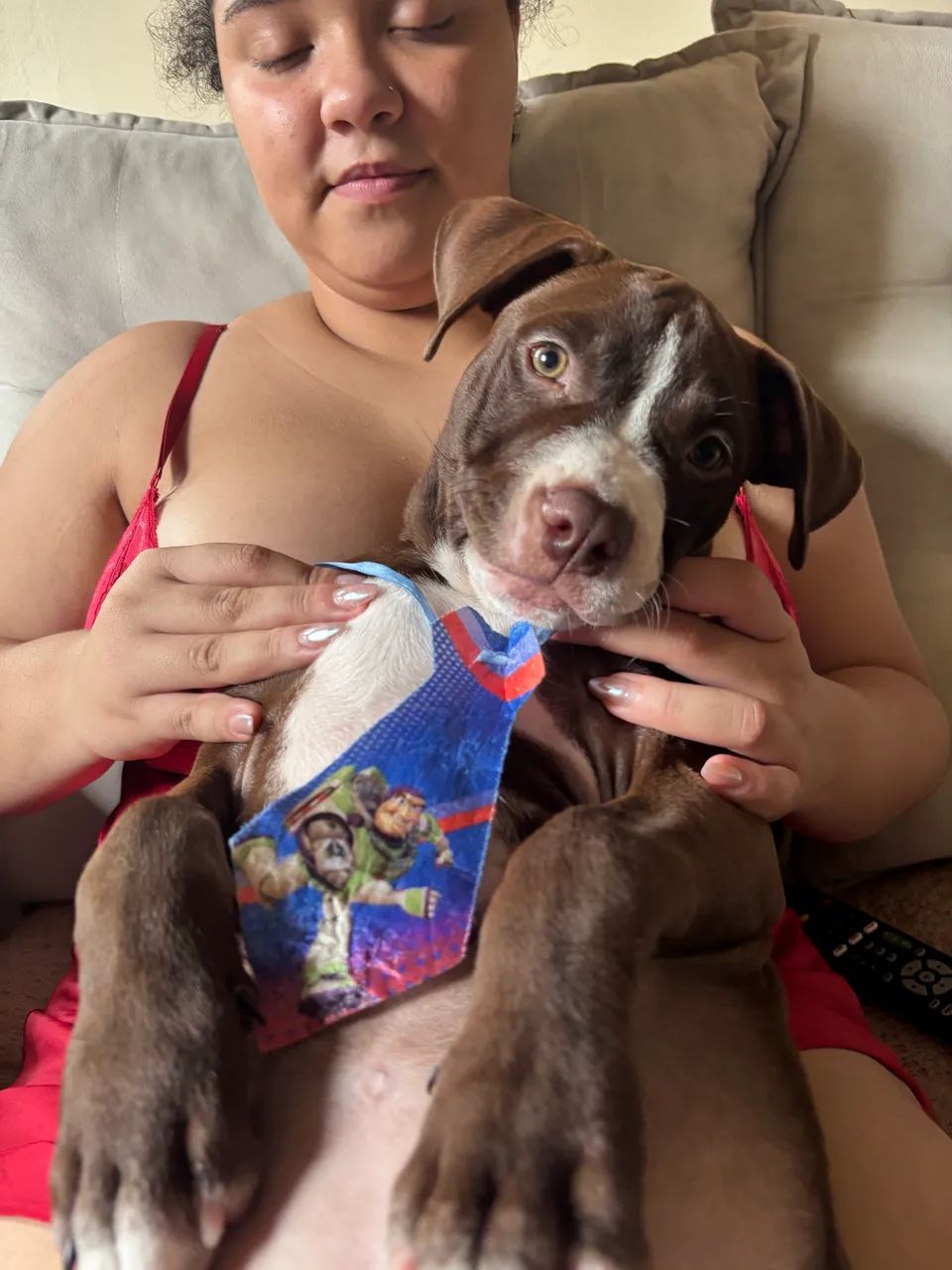 Filhote Pitbull - Foto 4