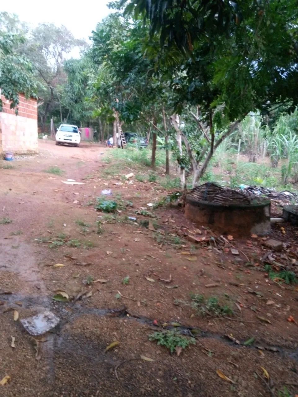Chácara 1.700 m² - (Setor Sul - GAMA-DF) - Foto 2