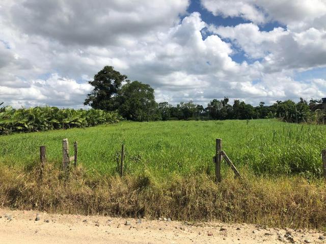 Chácara em Guaramirim