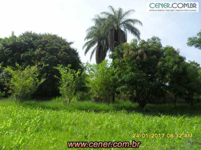 07F/Bela fazenda de 18,78 ha com linda sede estilo antigo, cachoeiras e produtiva - Foto 11