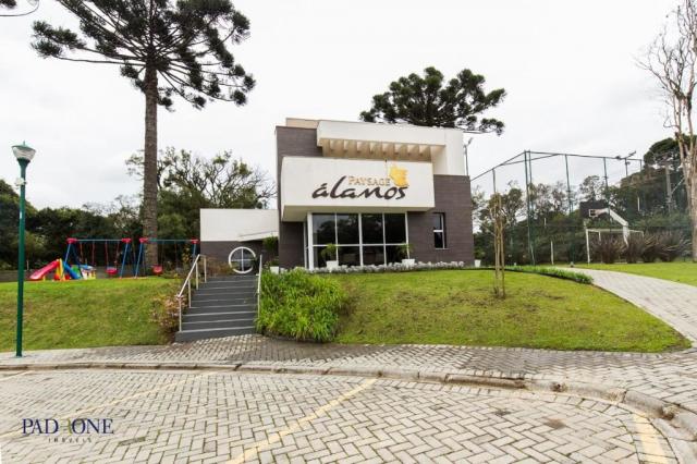 Loteamento/condomínio à venda em Pilarzinho, Curitiba cod:TE0002 - Foto 11