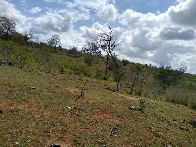 Vendo uma fazenda - Foto 5
