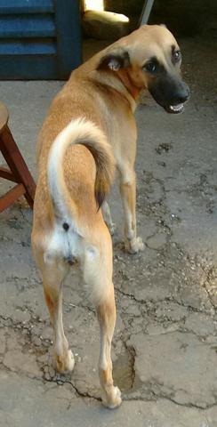 Doação - Foto 5