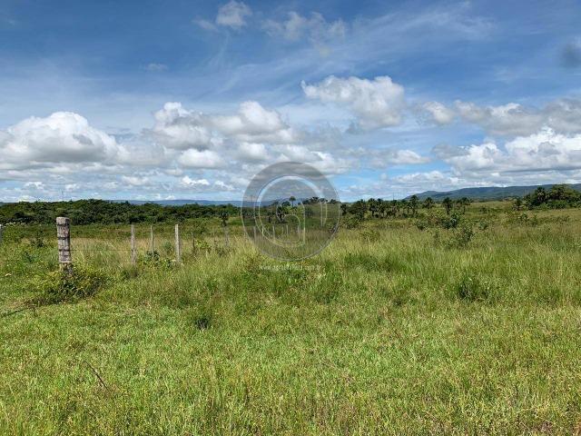 Fazenda 1300 ha para Arrendamento barra do bugres - Foto 3