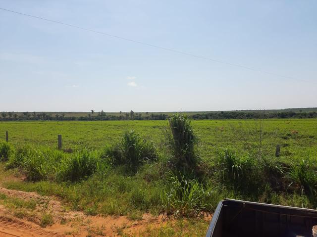 Fazenda de 154 alqueires - Foto 17