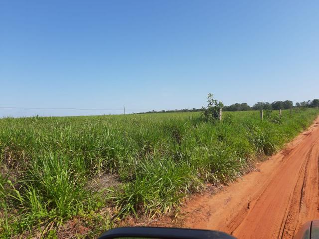 Fazenda de 154 alqueires - Foto 19