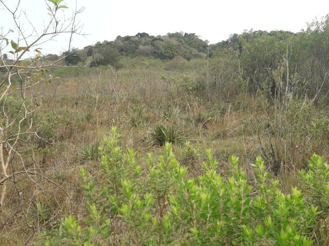 14,9 hectares de terra na beira do rio Uruguai