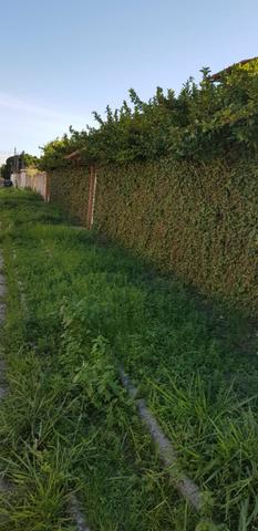Vendo uma casa no Miraporto, local muito procurado!! - Foto 15