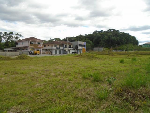 Terreno para alugar em Santa catarina, Joinville cod:08122.001 - Foto 5