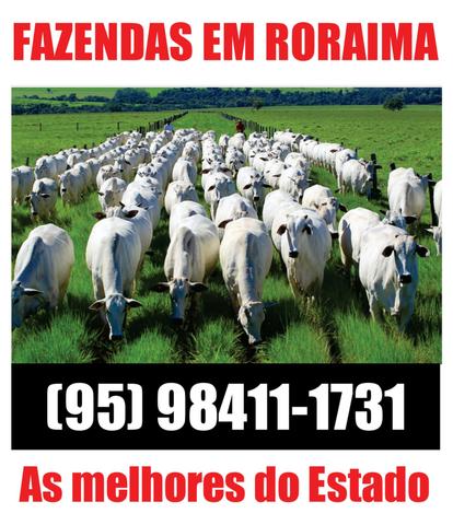 Fazenda com 3680 hectares em Mucajaí / RR. ler descrição do anuncio