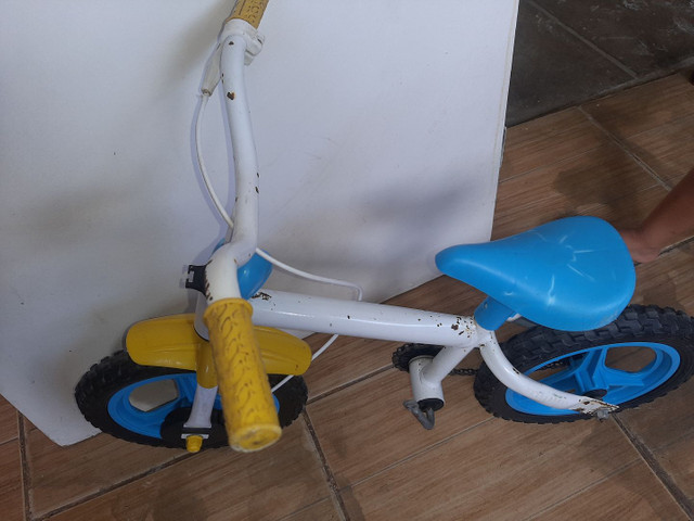 Bicicleta