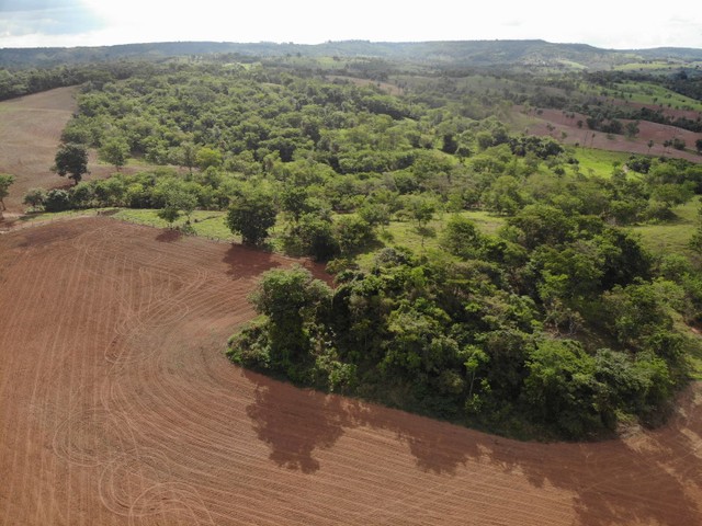 FAZENDA COM 60HEC PRA CAFE, DE BOA QUALIDADE!! - Foto 3