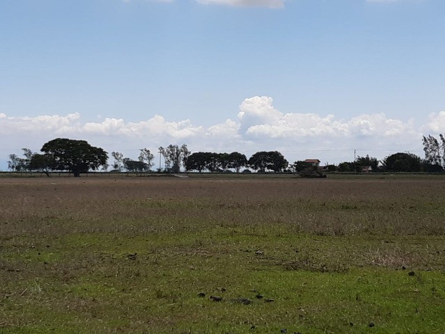 Fazenda de 90 alqueires em Flexeiras (Quissamã). - Foto 2