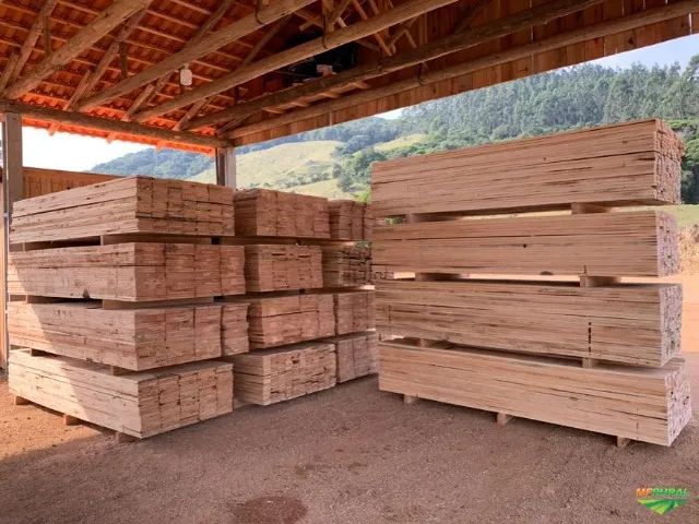 Tabuas de Pinus e Pontaletes de Pinus para Construção