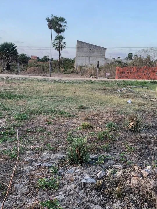 foto - Maracanaú - Alto da Mangueira