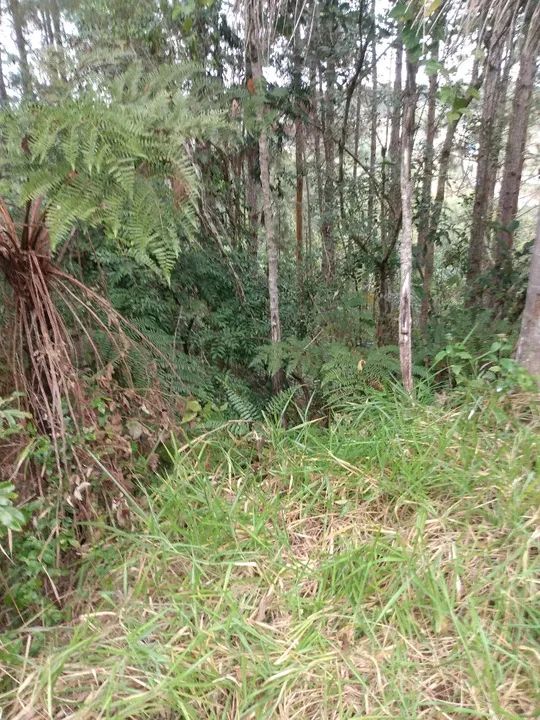 Área 37.650 m2 Embú Guaçu/Parelheiros  - Foto 12