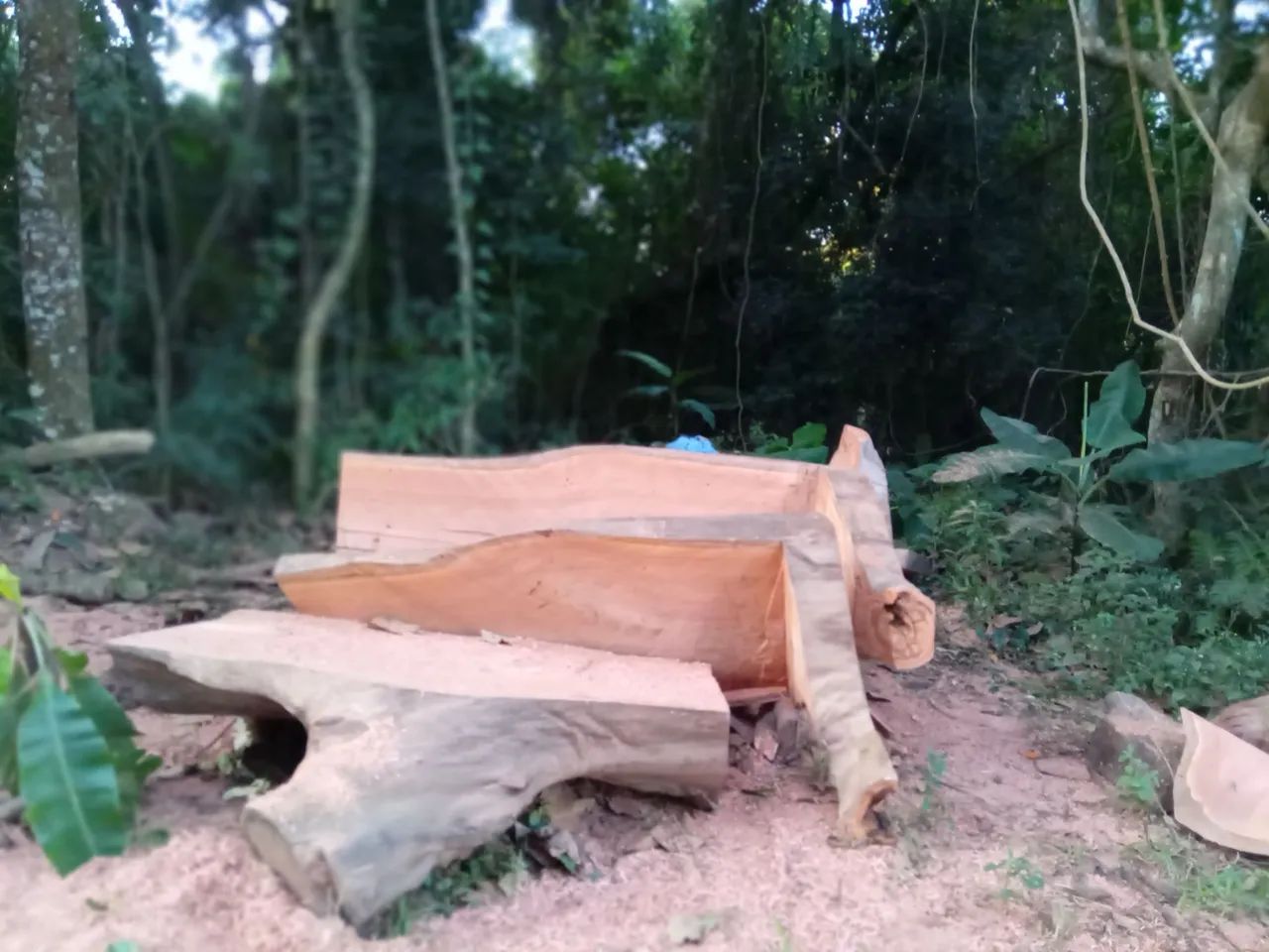 Mesa cascata  - Foto 5