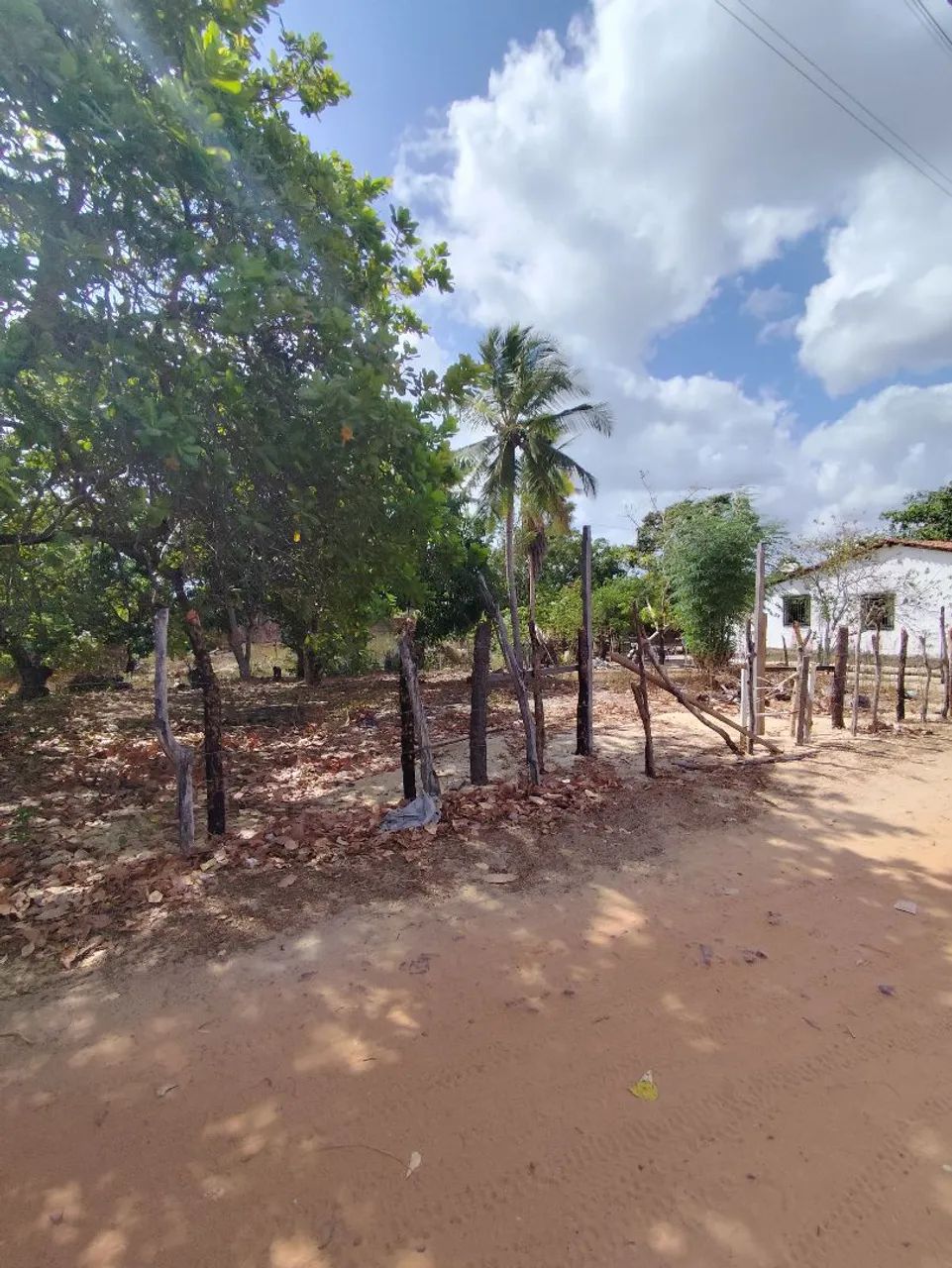 Vendo TERRENO em BARREIRINHAS-MA 