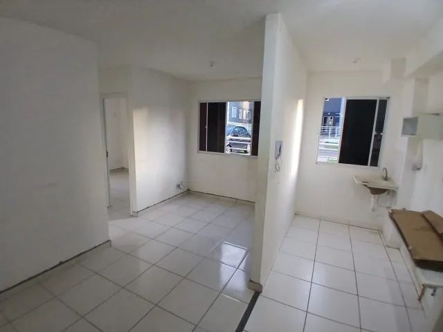 Foto - Manaus - Lírio do Vale