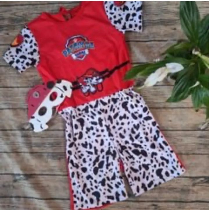 Fantasia Patrulha Canina  - Foto 2