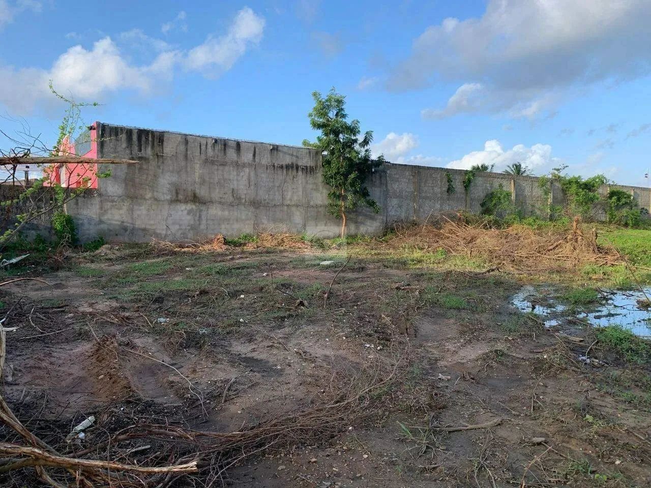 Excelente terreno para abri o seu negócio. - Foto 5