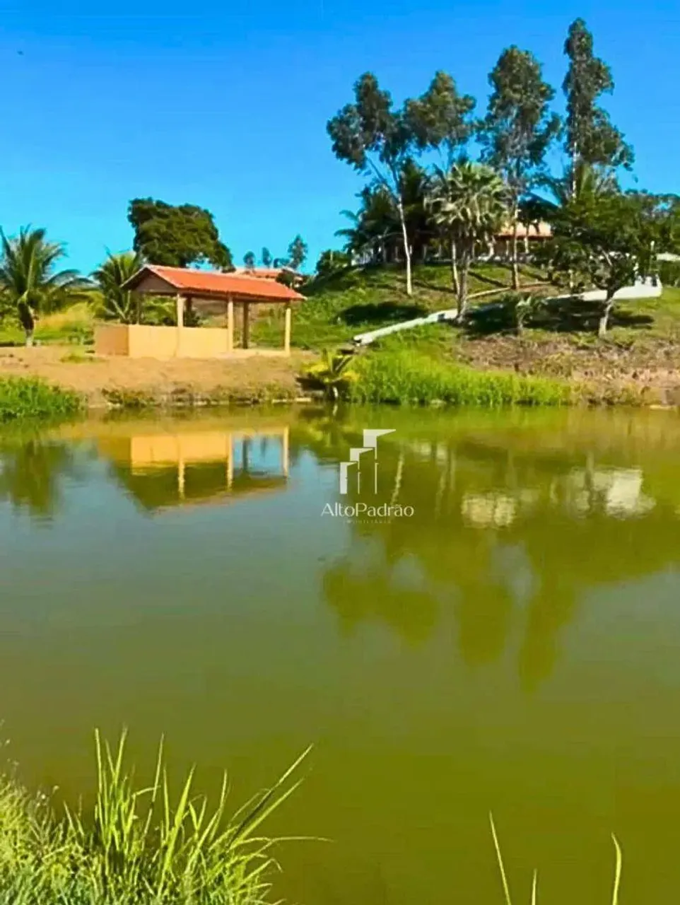 Sítio com 2 dormitórios à venda, 12 hectares por R$ 900.000 - PI 113, depois do José de Fr